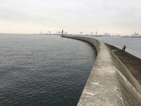 ワインドでサゴシ、アジ